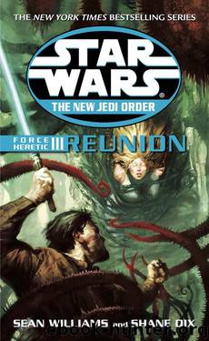 Reunion by Williams Sean
