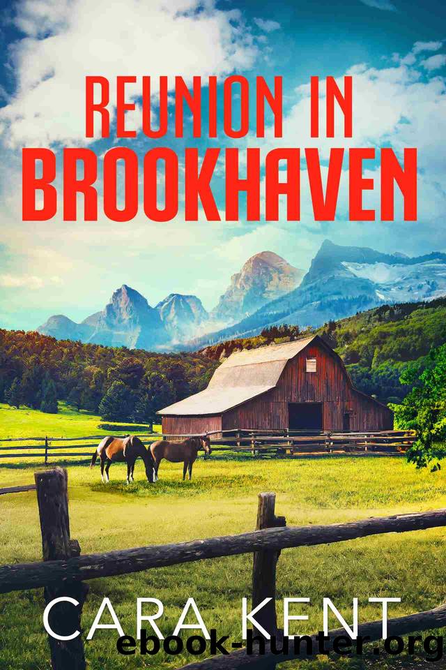 Reunion in Brookhaven (Brookhaven Mystery Thriller Suspense Book 1) by Cara Kent
