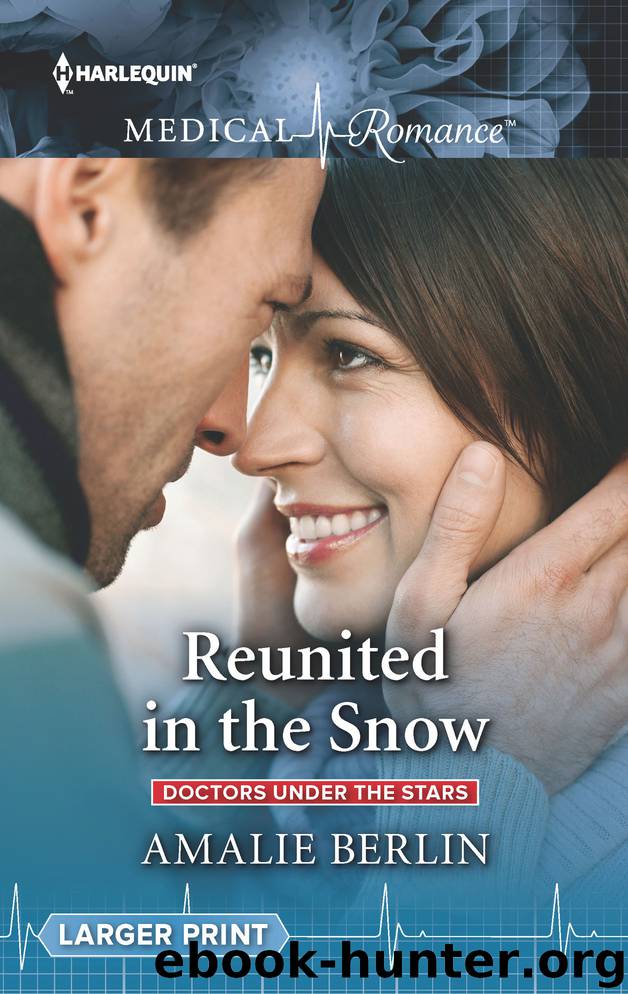 Reunited in the Snow by Amalie Berlin