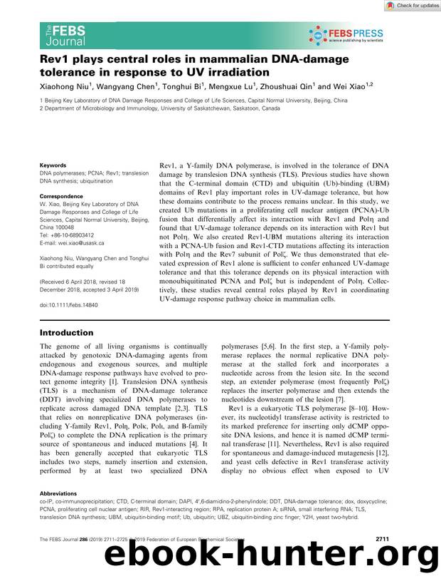 Rev1 plays central roles in mammalian DNAâdamage tolerance in response to UV irradiation by Unknown