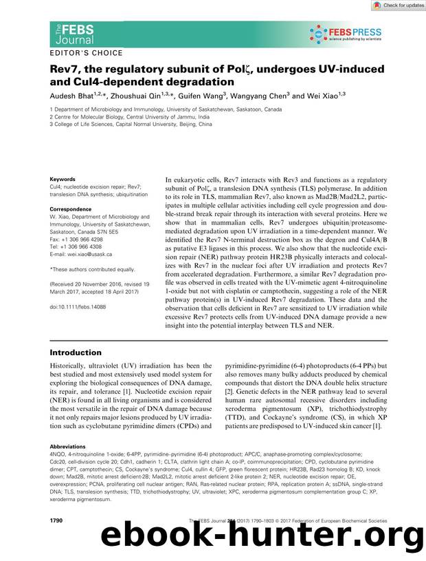 Rev7, the regulatory subunit of PolÎ¶, undergoes UVâinduced and Cul4âdependent degradation by Unknown