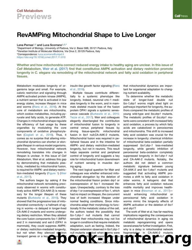 RevAMPing Mitochondrial Shape to Live Longer by Lena Pernas & Luca Scorrano