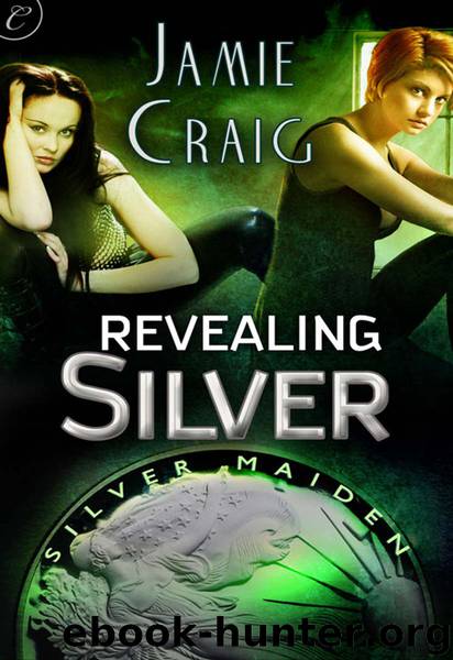 Revealing Silver by Jamie Craig