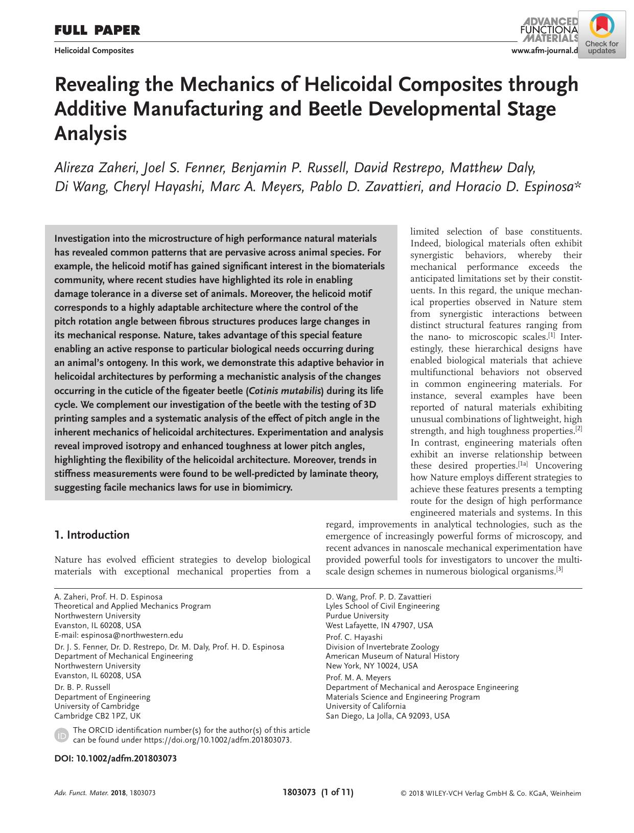 Revealing the Mechanics of Helicoidal Composites through Additive Manufacturing and Beetle Developmental Stage Analysis by Unknown