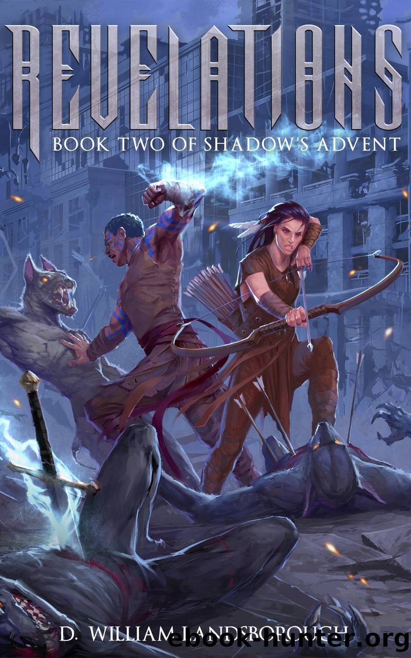 Revelations by D. William Landsborough