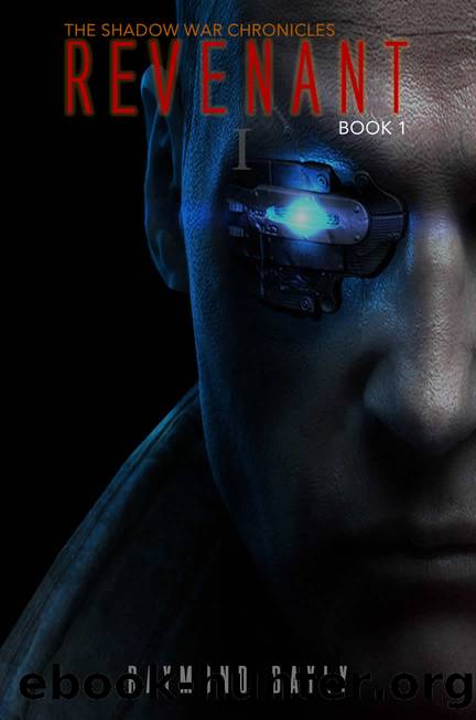 Revenant: The Shadow War Chronicles - Book 1 by Raymond Bayly