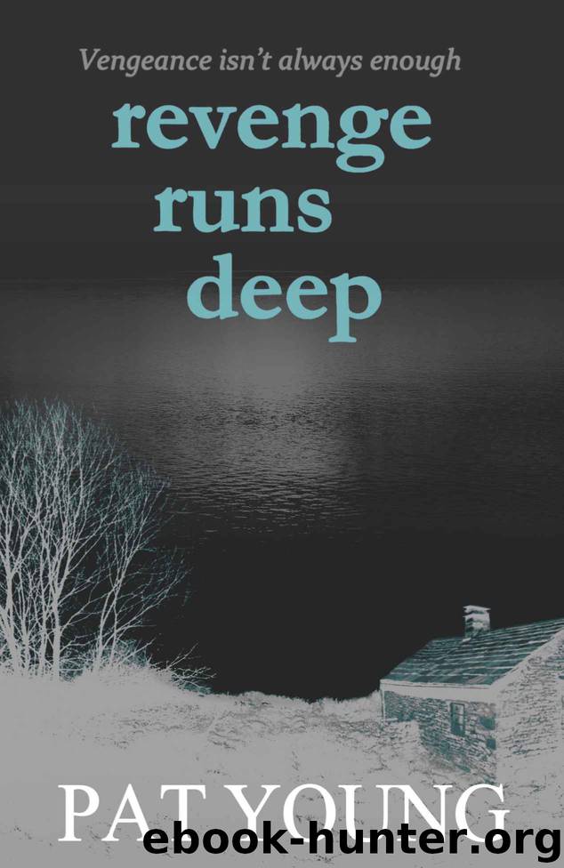 Revenge Runs Deep by Pat Young