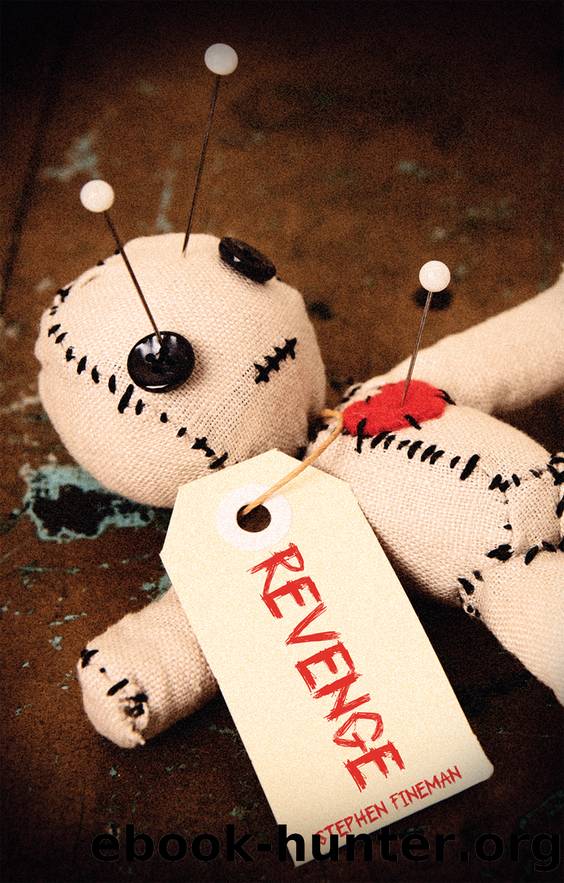 Revenge by Stephen Fineman