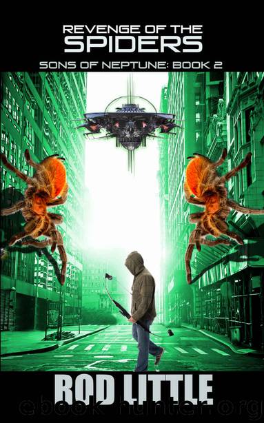 Revenge of the Spiders by Rod Little