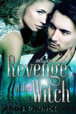 Revenge of the Witch by J M Davies