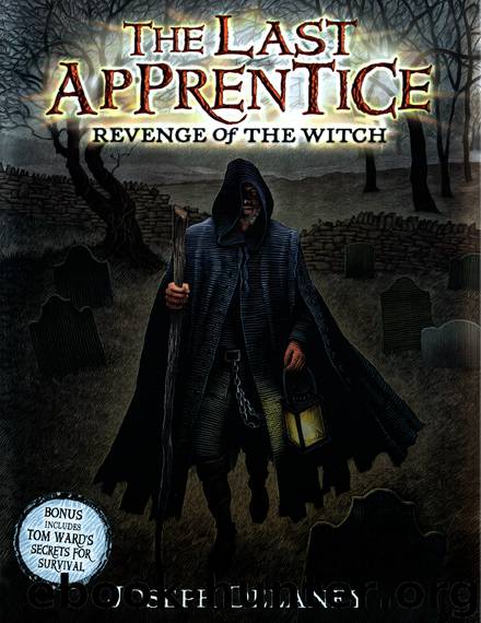 Revenge of the Witch by Joseph Delaney