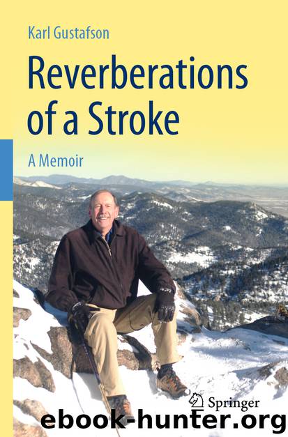 Reverberations of a Stroke by Karl Gustafson