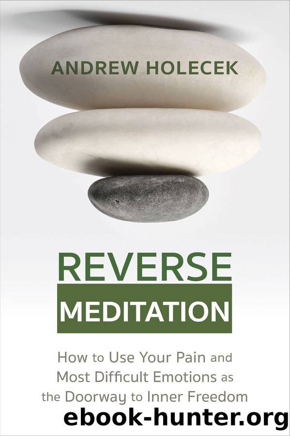 Reverse Meditation: How to Use Your Pain and Most Difficult Emotions as the Doorway to Inner Freedom by Andrew Holecek