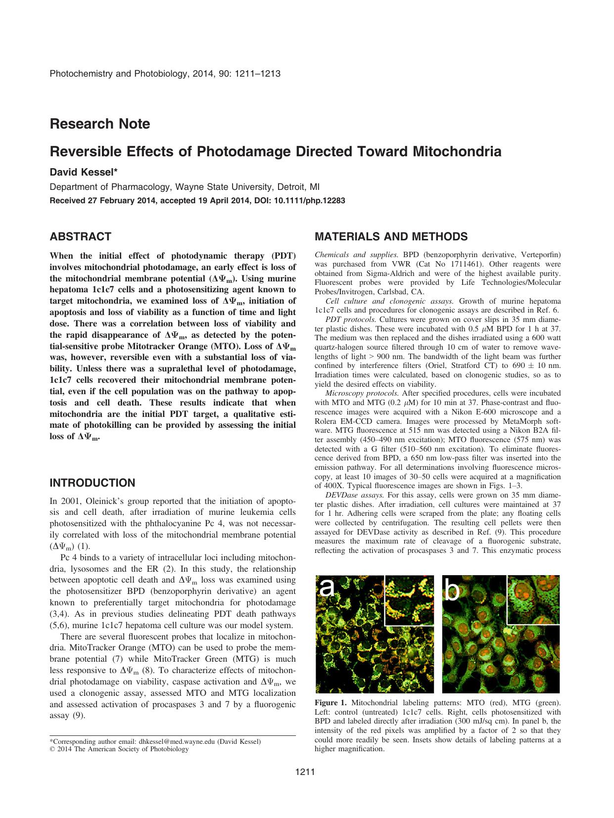 Reversible Effects of Photodamage Directed Toward Mitochondria by Unknown