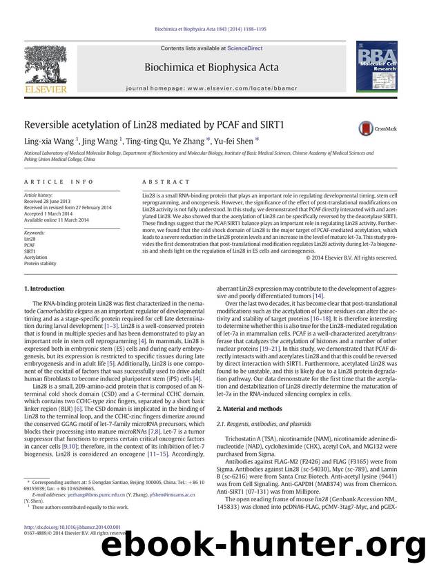 Reversible acetylation of Lin28 mediated by PCAF and SIRT1 by Ling-xia Wang & Jing Wang & Ting-ting Qu & Ye Zhang & Yu-fei Shen