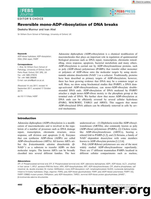 Reversible monoâADPâribosylation of DNA breaks by Unknown