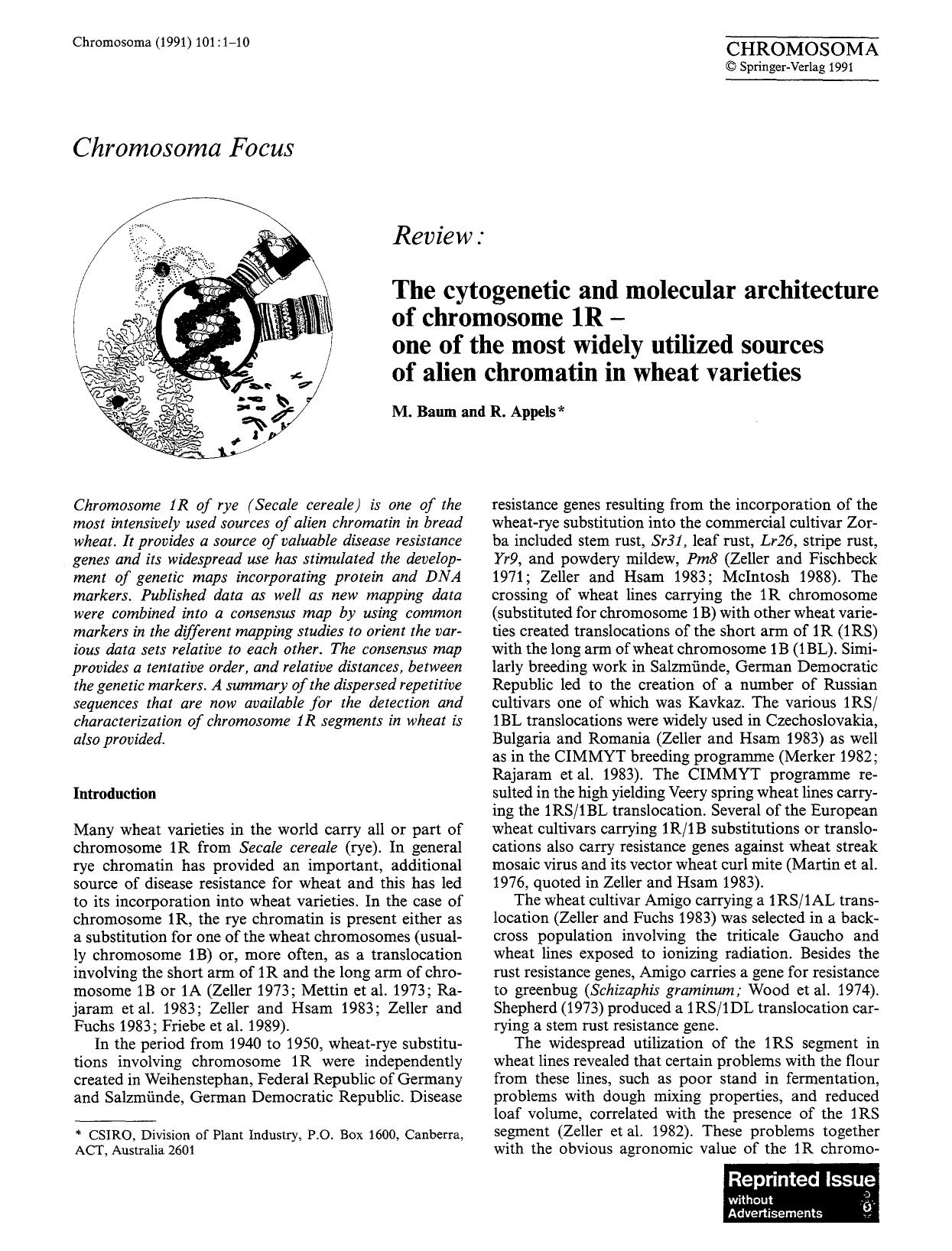 Review: The cytogenetic and molecular architecture of chromosome 1R—one of the most widely utilized sources of alien chromatin in wheat varieties by Unknown