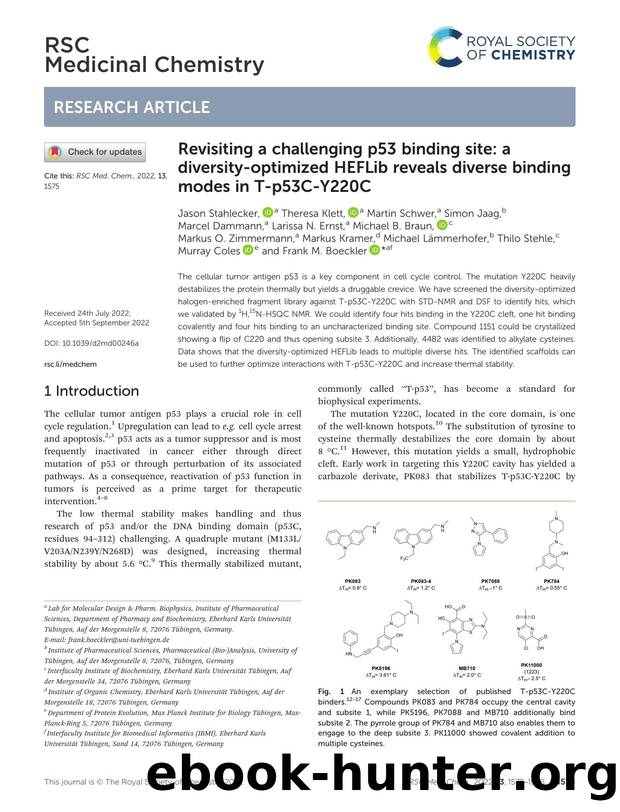 Revisiting a challenging p53 binding site: a diversity-optimized HEFLib reveals diverse binding modes in T-p53C-Y220C by unknow