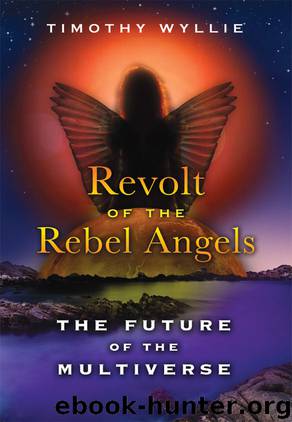 Revolt of the Rebel Angels: The Future of the Multiverse by Timothy Wyllie