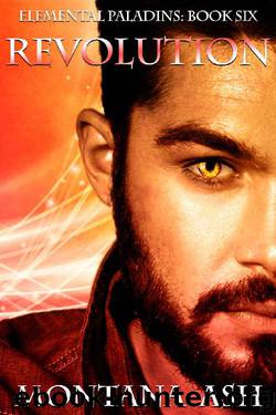 Revolution (The Elemental Paladins Series Book 6) by Montana Ash