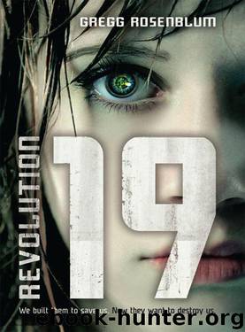 Revolution 19 by Gregg Rosenblum