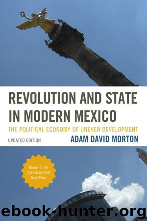 Revolution and State in Modern Mexico by Adam David Morton
