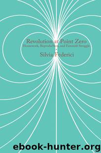 Revolution at Point Zero: Housework, Reproduction, and Feminist Struggle (Common Notions) by Federici Silvia