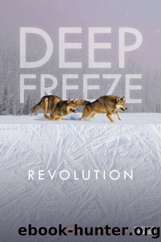 Revolution by D.S. Weissman