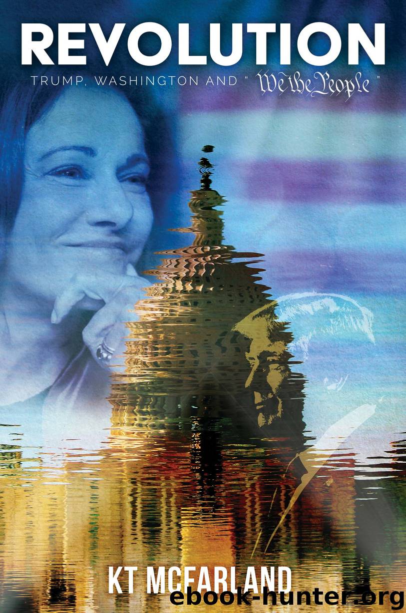Revolution by KT McFarland
