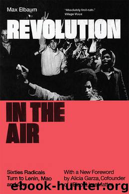 Revolution in the Air by Max Elbaum