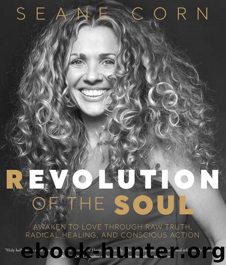 Revolution of the Soul by Seane Corn