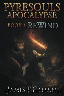 Rewind: A Grimdark LitRPG Series by James T. Callum