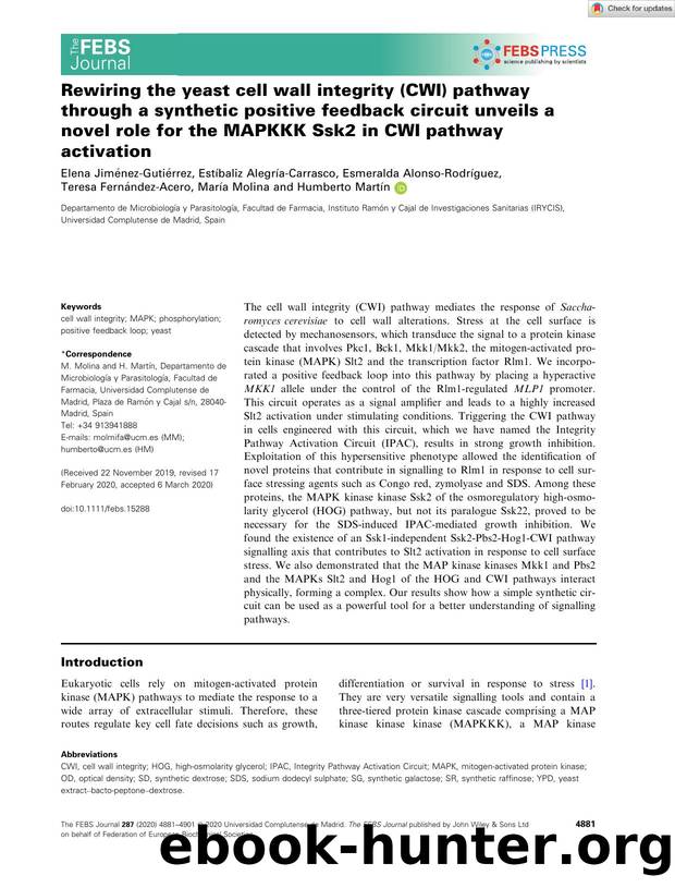Rewiring the yeast cell wall integrity (CWI) pathway through a synthetic positive feedback circuit unveils a novel role for the MAPKKK Ssk2 in CWI pathway activation by Unknown