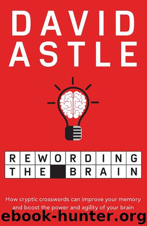 Rewording the Brain by David Astle