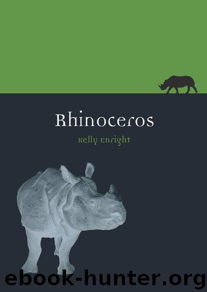 Rhinoceros by Kelly Enright