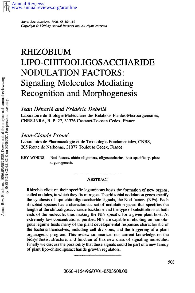 Rhizobium Lipo-Chitooligosaccharide Nodulation Factors: Signaling Molecules Mediating Recognition and Morphogenesis by J Denarie F Debelle & J-C Prome