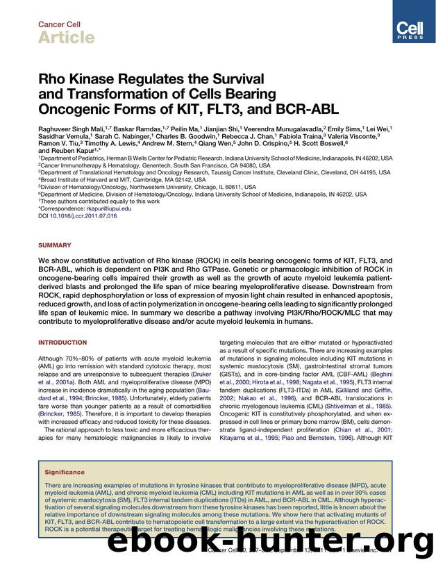 Rho Kinase Regulates the Survival and Transformation of Cells Bearing Oncogenic Forms of KIT, FLT3, and BCR-ABL by unknow