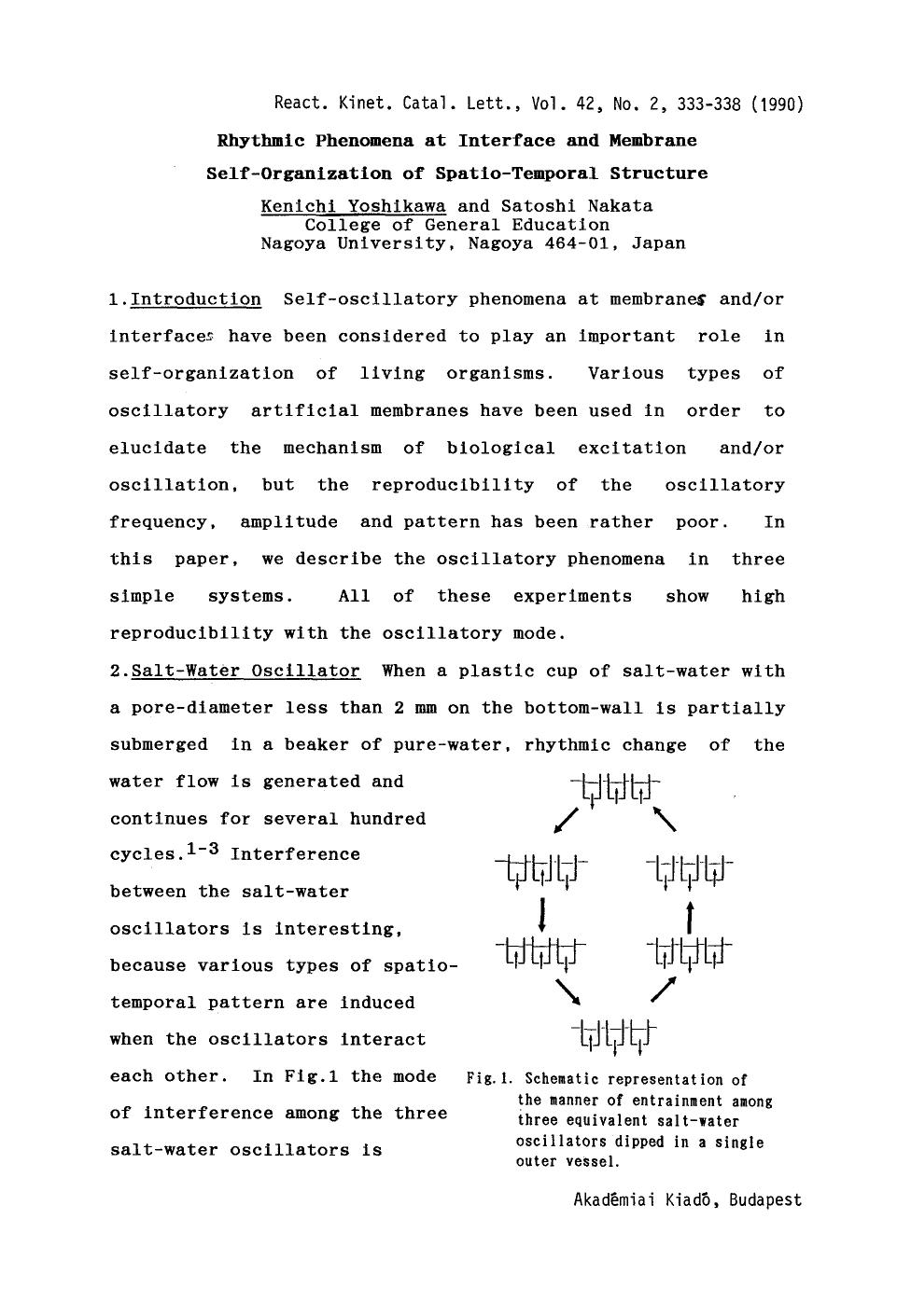 Rhythmic phenomena at interface and membrane self-organization of spatio-temporal structure by Unknown