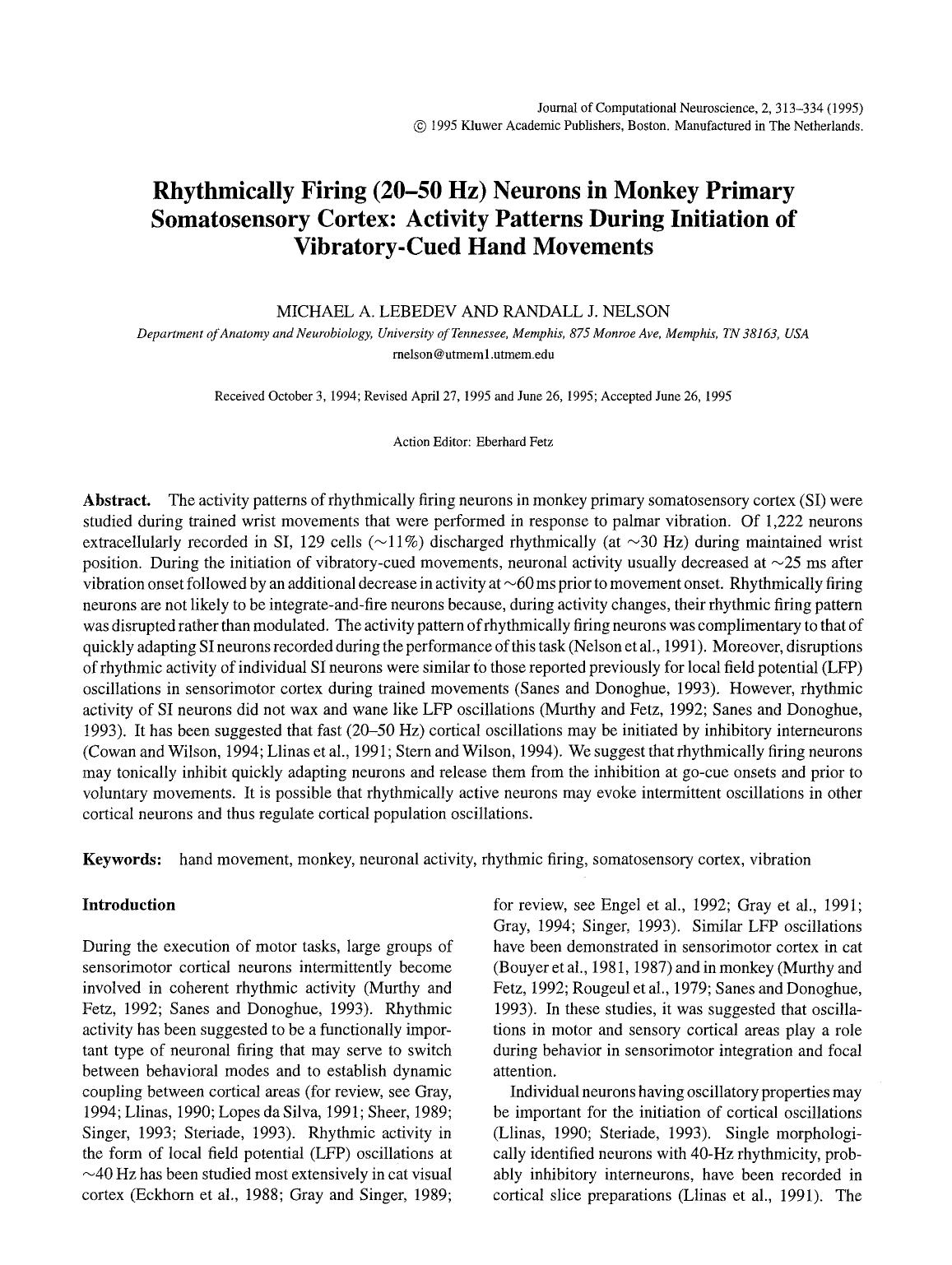 Rhythmically firing (20–50 Hz) neurons in monkey primary somatosensory cortex: Activity patterns during initiation of vibratory-cued hand movements by Unknown
