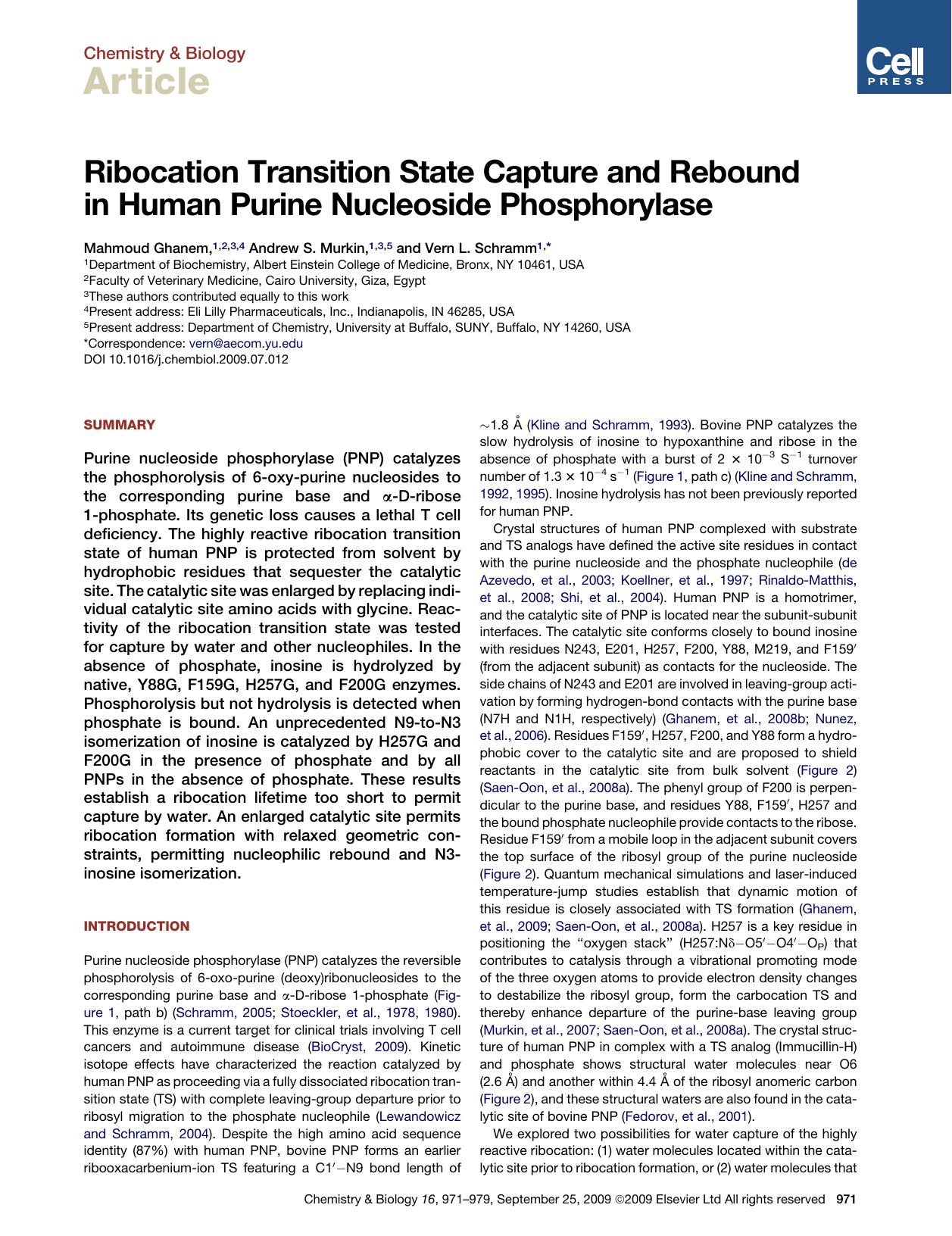 Ribocation Transition State Capture and Rebound in&nbsp;Human Purine Nucleoside Phosphorylase by Mahmoud Ghanem; Andrew S. Murkin; Vern L. Schramm