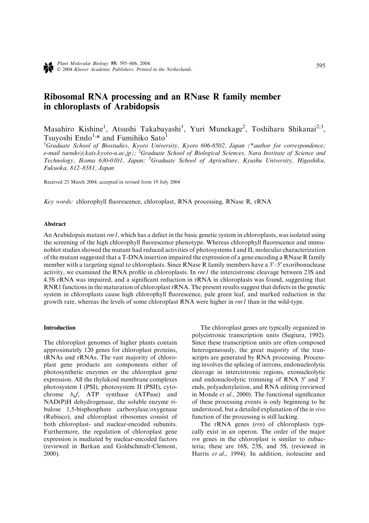 Ribosomal RNA processing and an RNase R family member in chloroplasts of Arabidopsis by Unknown