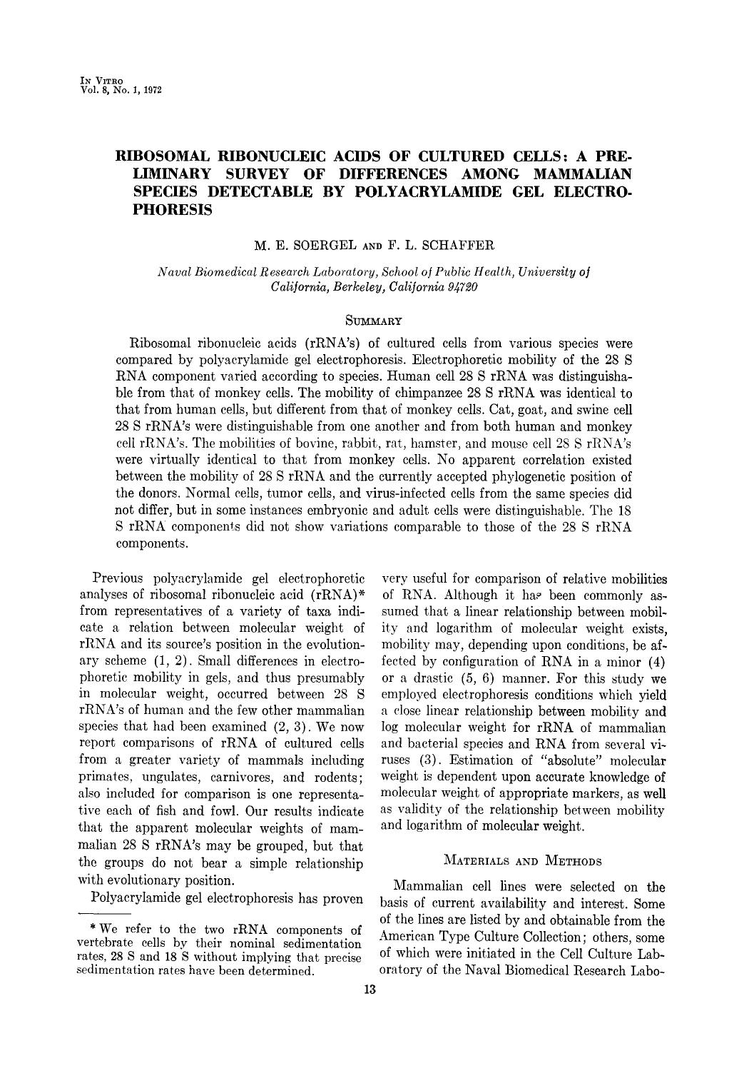 Ribosomal ribonucleic acids of cultured cells: A preliminary survey of differences among mammalian species detectable by polyacrylamide gel electrophoresis by Unknown