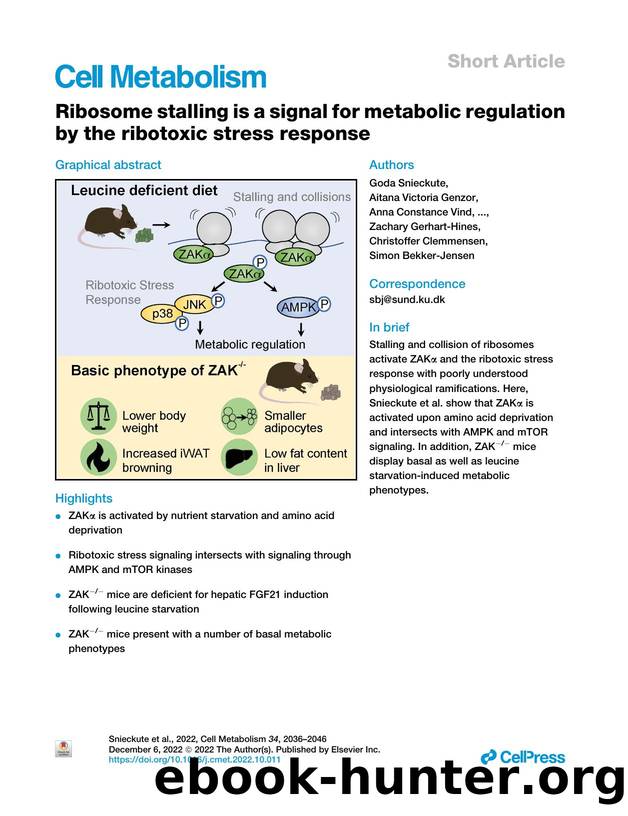 Ribosome stalling is a signal for metabolic regulation by the ribotoxic stress response by unknow