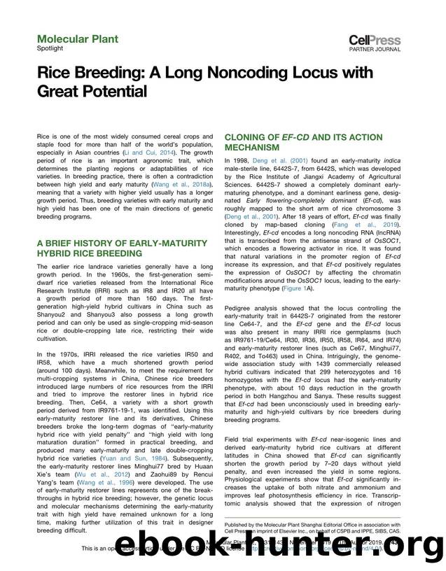 Rice Breeding: A Long Noncoding Locus with Great Potential by Yang Yu & Qian Qian