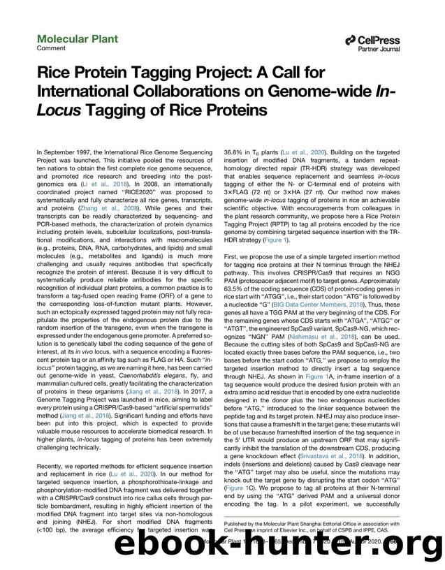 Rice Protein Tagging Project: A Call for International Collaborations on Genome-wide In-Locus Tagging of Rice Proteins by Yuming Lu & Pamela C. Ronald & Bin Han & Jiayang Li & Jian-Kang Zhu