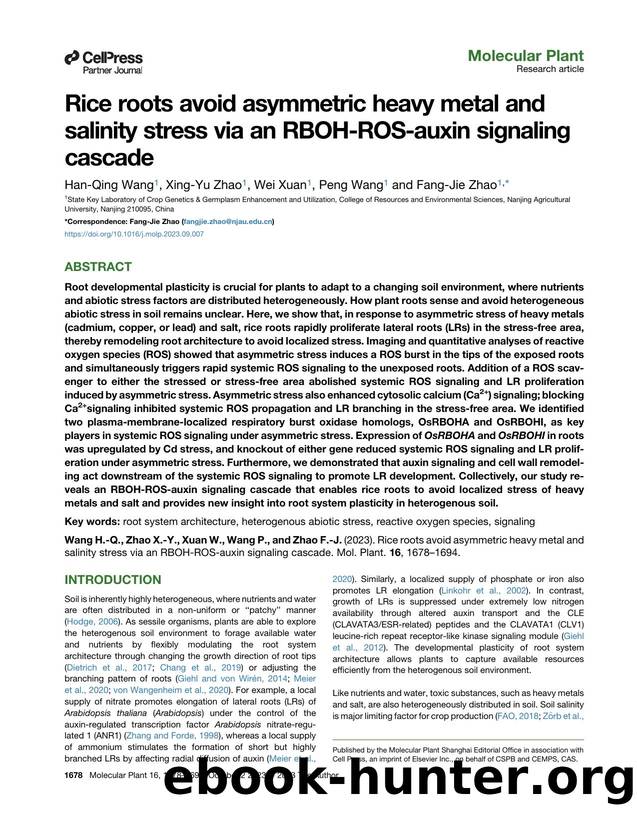 Rice roots avoid asymmetric heavy metal and salinity stress via an RBOH-ROS-auxin signaling cascade by Han-Qing Wang & Xing-Yu Zhao & Wei Xuan & Peng Wang & Fang-Jie Zhao