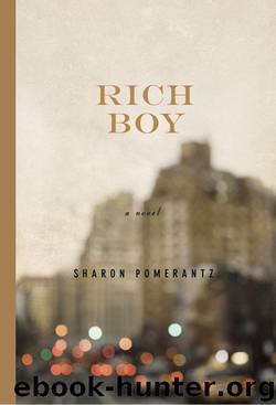 Rich Boy by Sharon Pomerantz