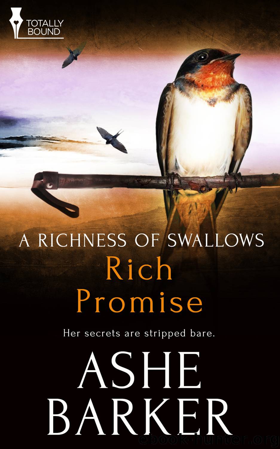 Rich Promise by Ashe Barker