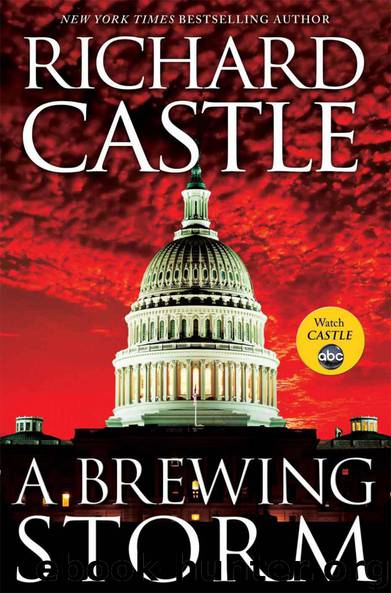 Richard Castle - Derrick Storm 01 - Brewing Storm by Richard Castle