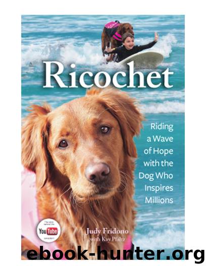 Ricochet by Judy Fridono